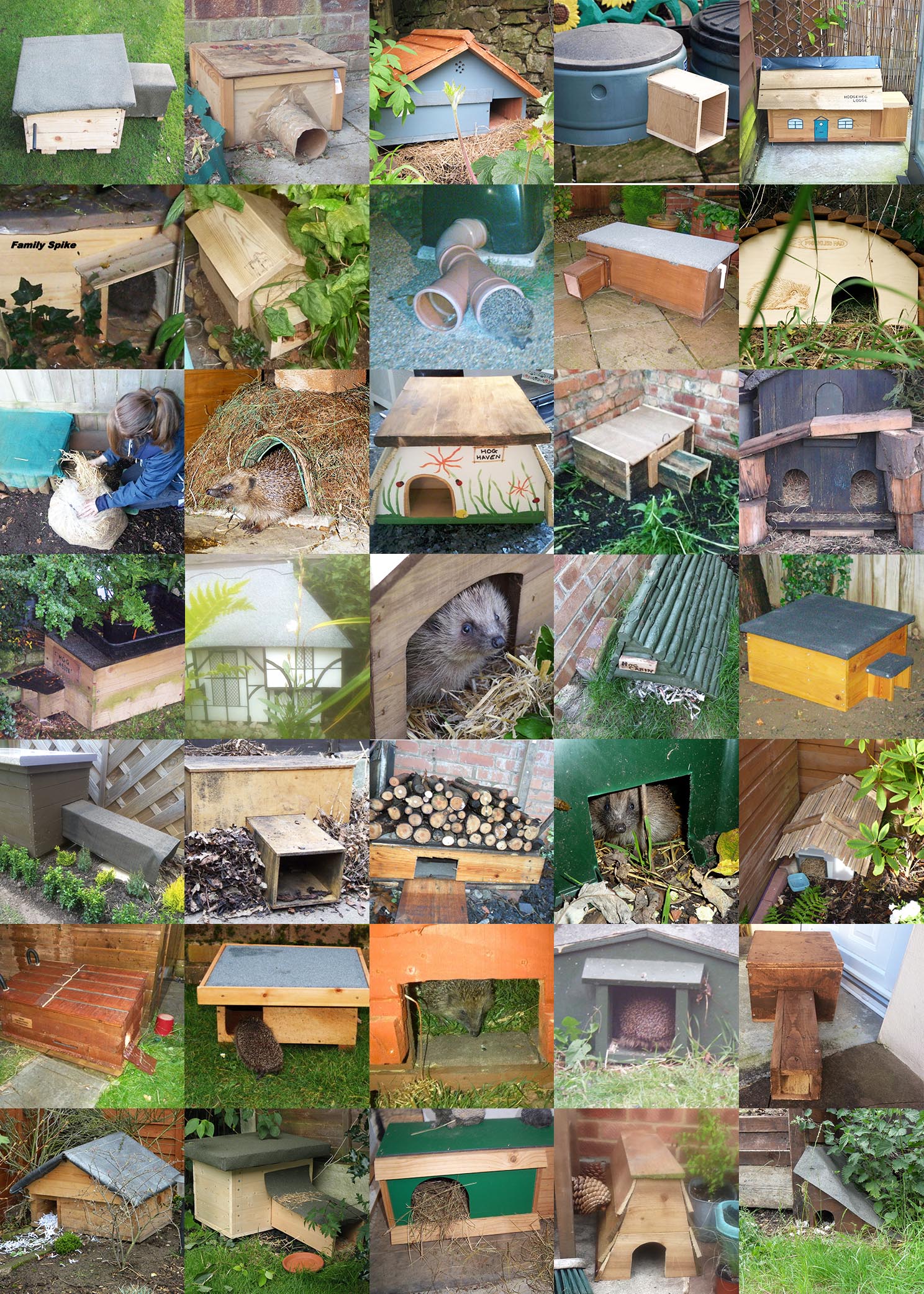 Our Hedgehog Champions have built or bought over 3929 hedgehog houses since 2011! Cor blimey!