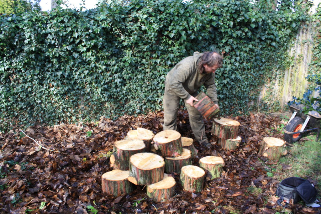 Building a logpile