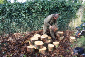 Alison Daykin building a logpile
