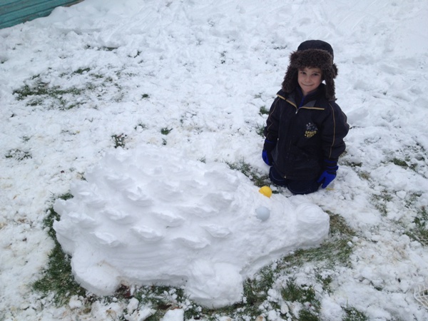 Hedgehog Champion Oscar with his super snowhog