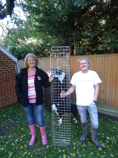 Paula with our Hedgehog Officer Henry and the Betafence product (and Daisy the dog)