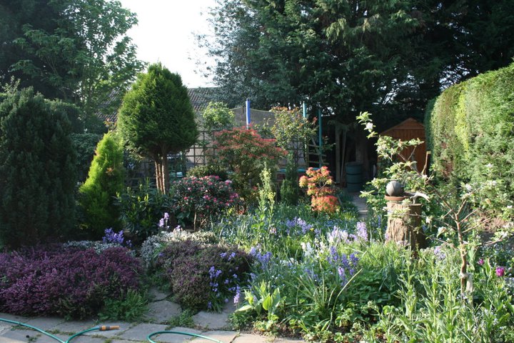 Garden of Hedgehog Champion Joanne from Buckinghamshire