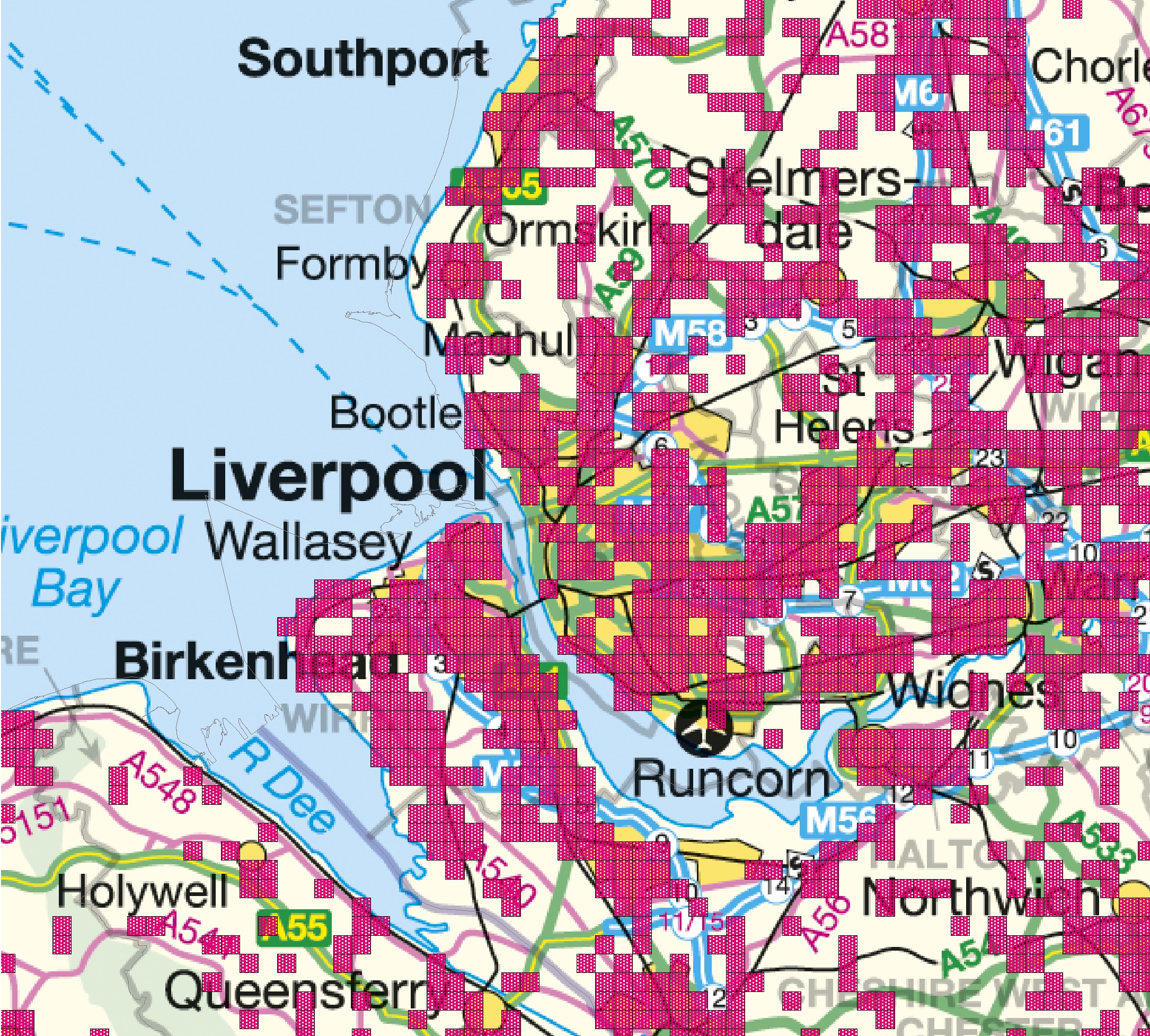 Recent hedgehog records in Liverpool, with pink 1km2 showing positive records