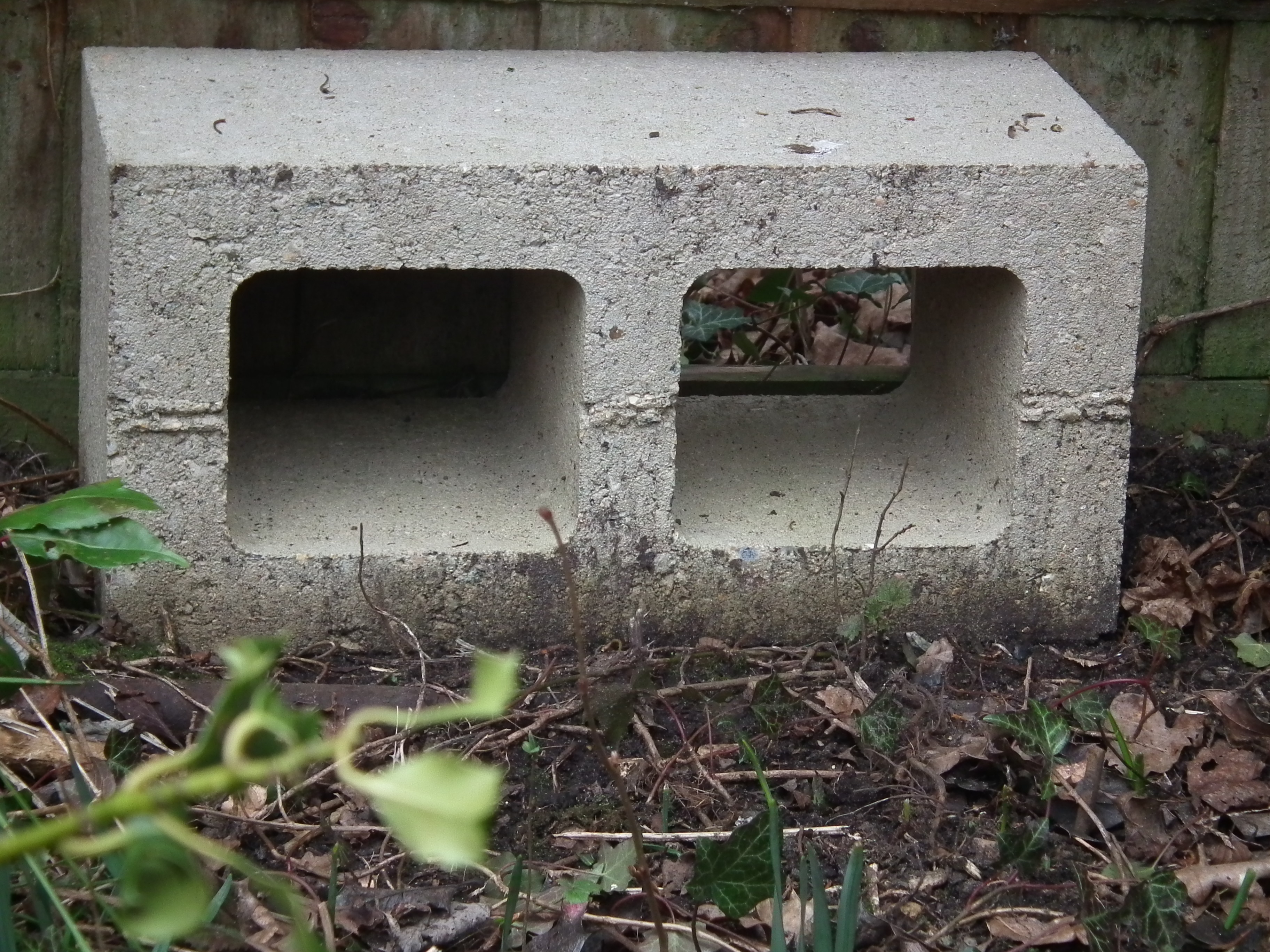 Hedgehog expert Pat Morris pioneered this low tech solution making your hole cat-proof using a breeze block - clever puss!