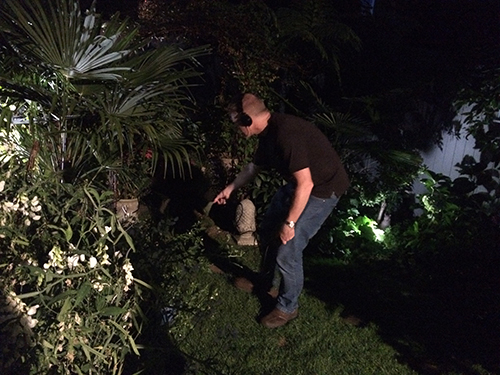 Reporter Andrew Bomford recording the hedgehog eating his dinner