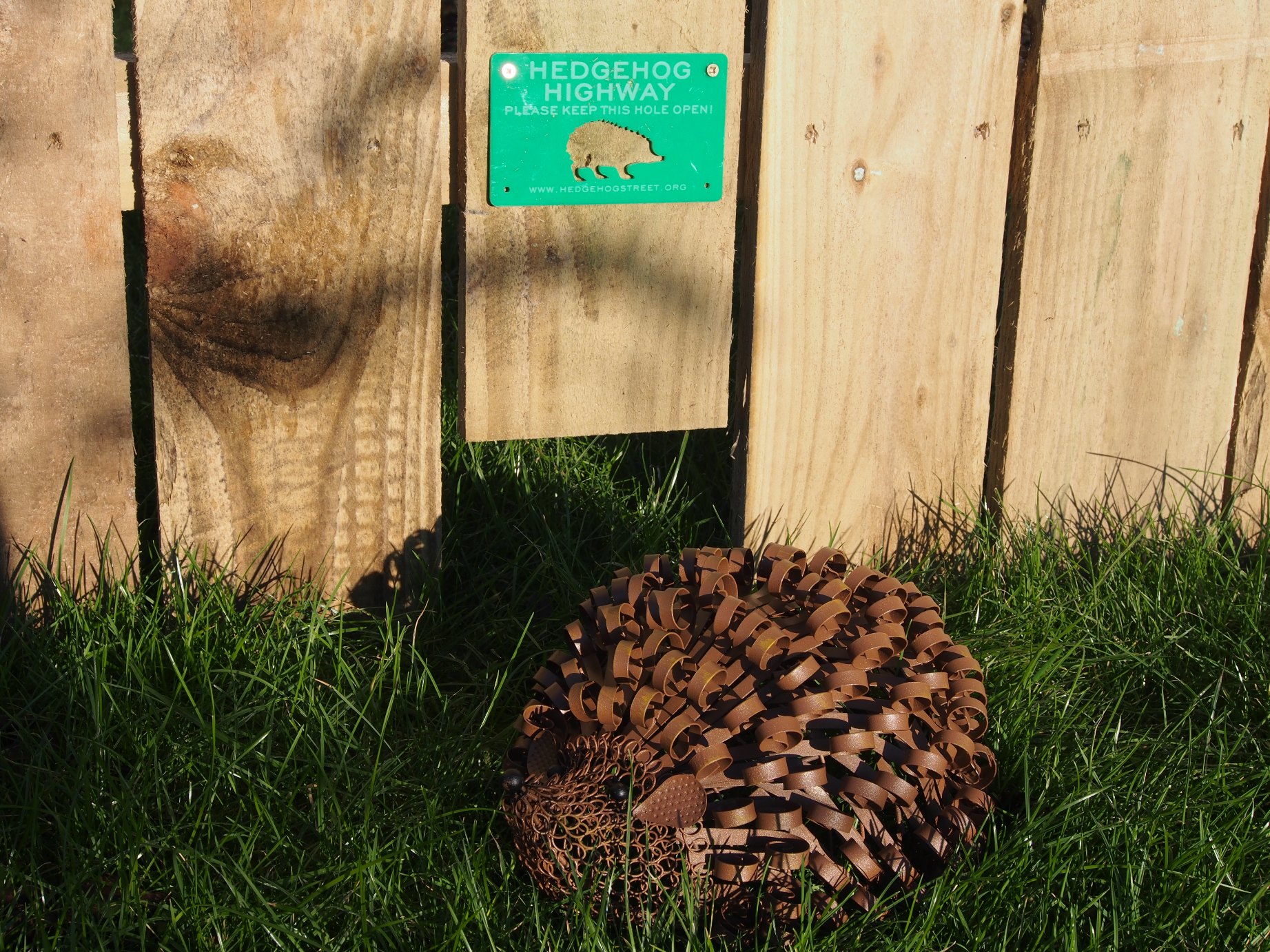 Hedgehog highway in a new Russel Armer garden