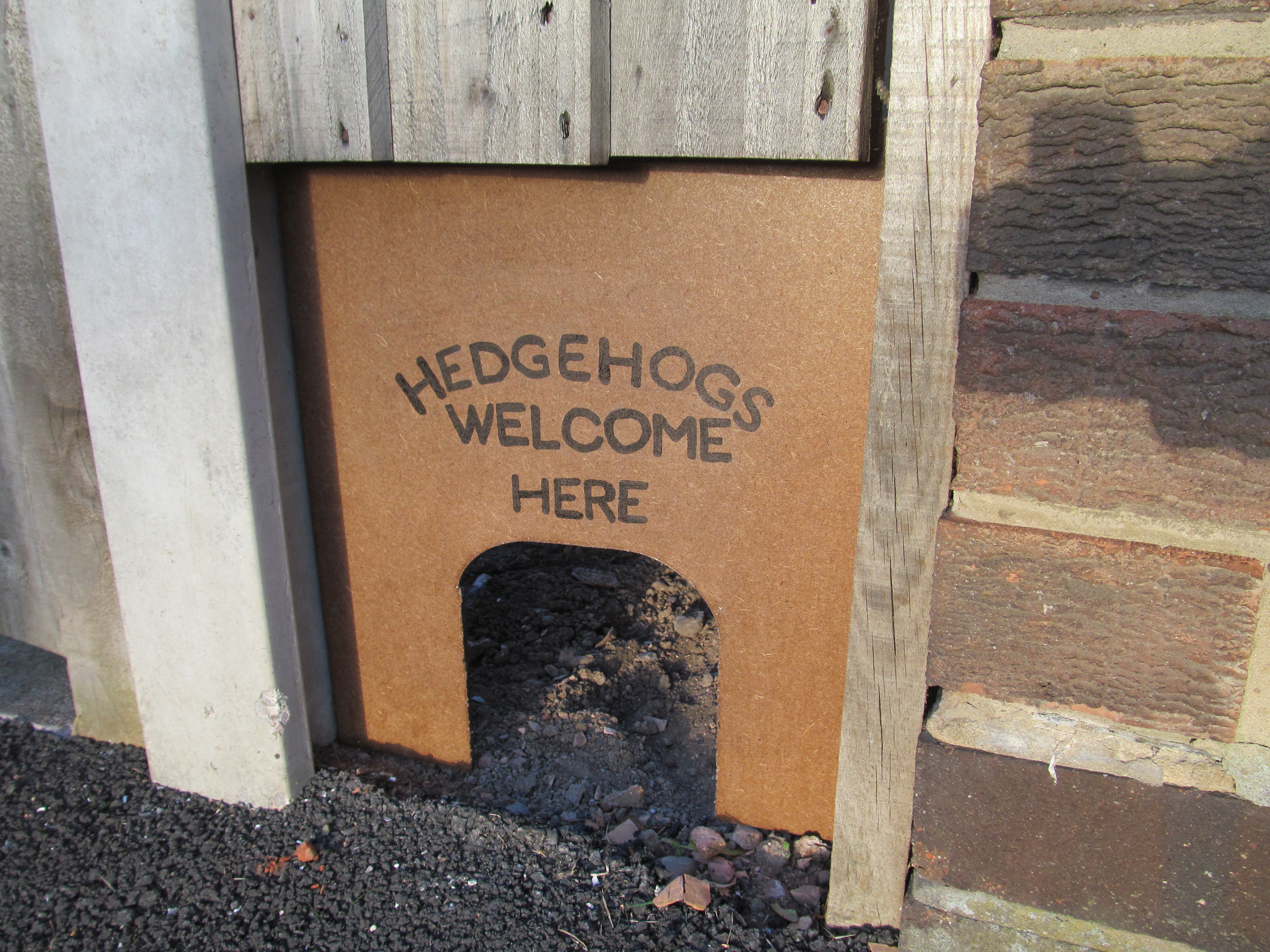 Hedgehogs need access to lots of gardens, not just yours...