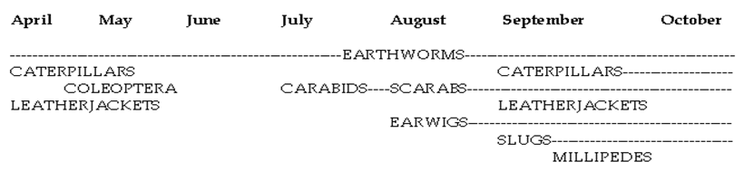 Source: Wroot A. J. (1984) Feeding ecology of the European hedgehog