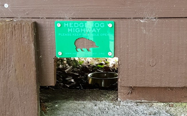 You can buy hedgehog highway signs from the PTES shop