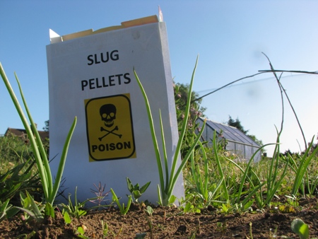 slug pellets