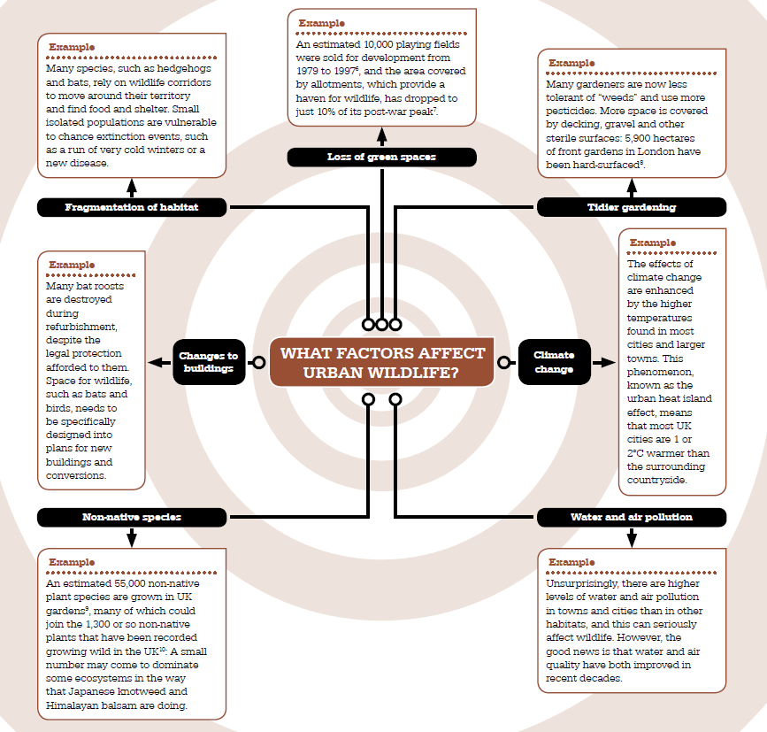 Urban wildlife diagram from the State of Nature Report