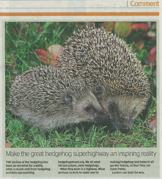 Article about declining hedgehogs in the Evening Standard