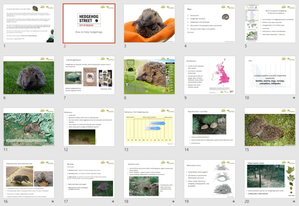 Powerpoint slides for hedgehog talk