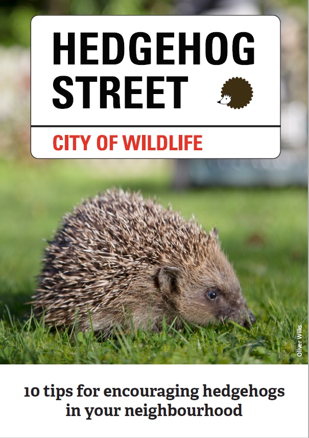 The front of a leaflet containing ten tips to encourage hedgehogs into a garden.