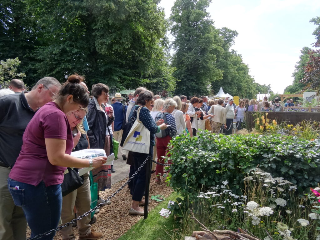 Crowds on Wednesday 9.7.14 at Hedgehog Street, Hampton Court 