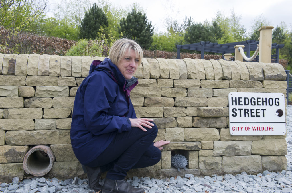 Tracy Foster, designer of Hedgehog Street at Harlow Carr