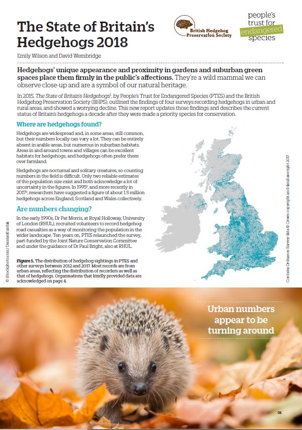 State of Britain's Hedgehogs 2018 report