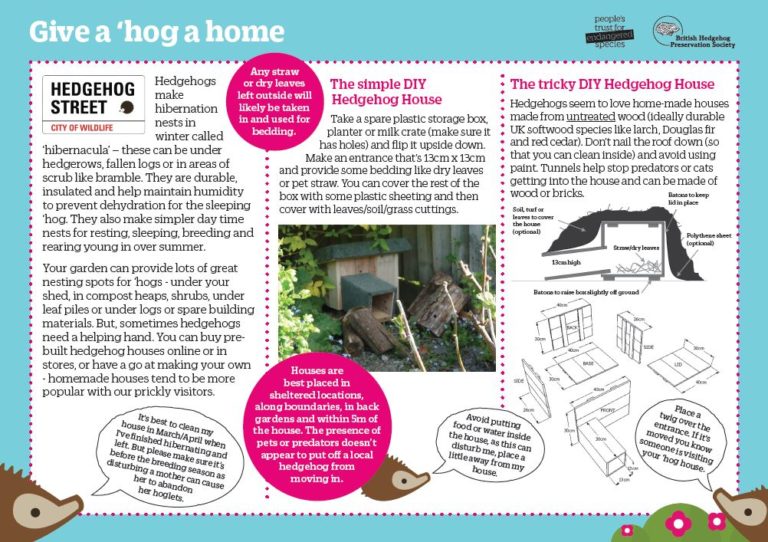 Hedgehog homes Hedgehog Street