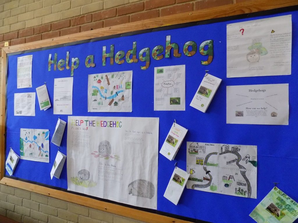 Their posters created a stunning display in the School Hall