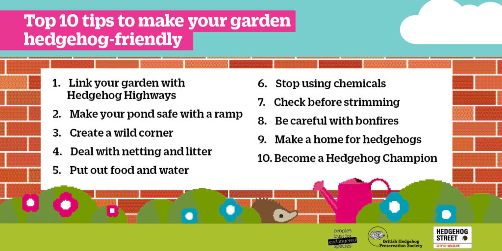 A fact sheet showing useful tips for encouraging hedgehogs into a green space.