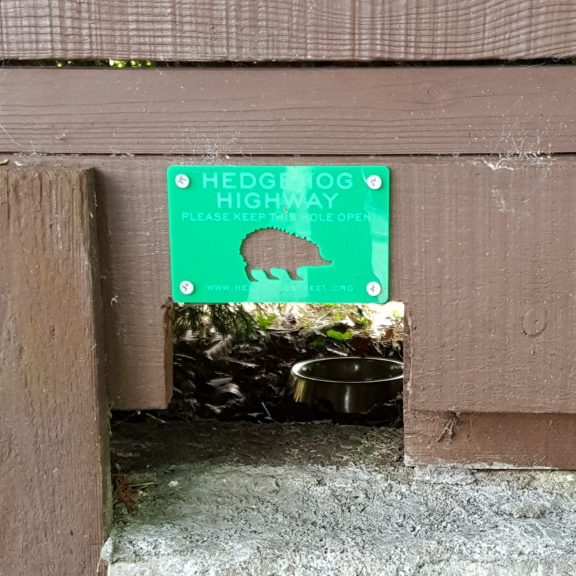 Hedgehog highway photo by Sean Hill