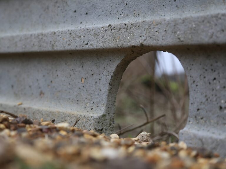 Selcohedgehoggravelboard1 Hedgehog Street